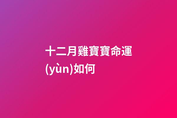 十二月雞寶寶命運(yùn)如何 (十二月的雞寶寶好嗎)-第1張-觀點-玄機(jī)派